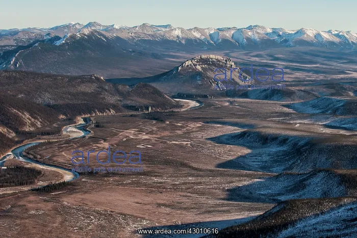 : Aerial Ogilivie Mountains Yukon, Canada : Aerial Ogilivie Mountains Yukon, Canada