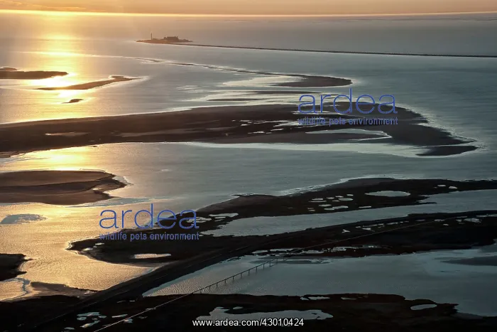 : Aerial Oil Fields and Pipelines beside Alaska's : Aerial Oil Fields and Pipelines beside Alaska's