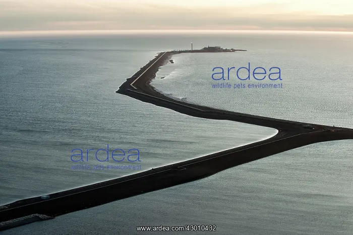 : Aerial Oil Fields and Pipelines beside Alaska's : Aerial Oil Fields and Pipelines beside Alaska's