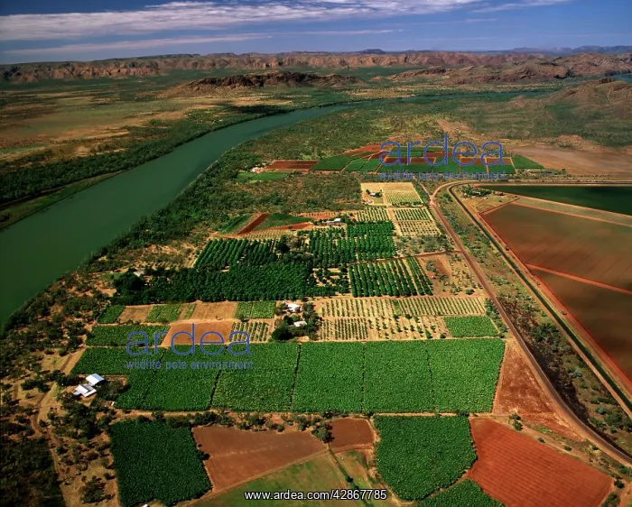 : Aerial - Ord River Irrigation Scheme near Kununurra : Aerial - Ord River Irrigation Scheme near Kununurra