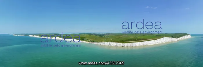  : Aerial panorama of the chalk cliffs The Seven Si