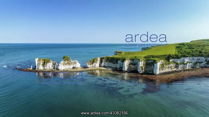 : Aerial panorama of the chalk coast Old Harry Roc : Aerial panorama of the chalk coast Old Harry Roc