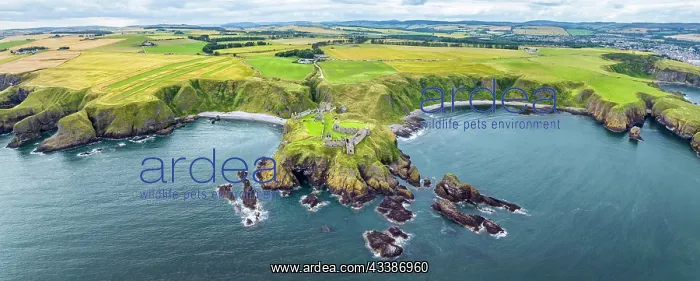  : Aerial panorama of Dunnottar Castle ruins on the N