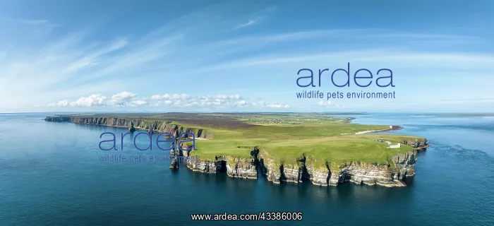 : Aerial panorama of the rugged coastal landscape a : Aerial panorama of the rugged coastal landscape a