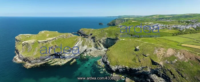  : Aerial panorama of the rugged coastline on the C