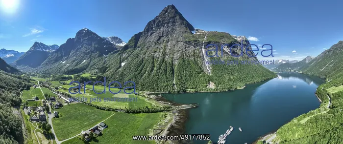 : Aerial panoramic view over fjord Hjorundfjord : Aerial panoramic view over fjord Hjorundfjord