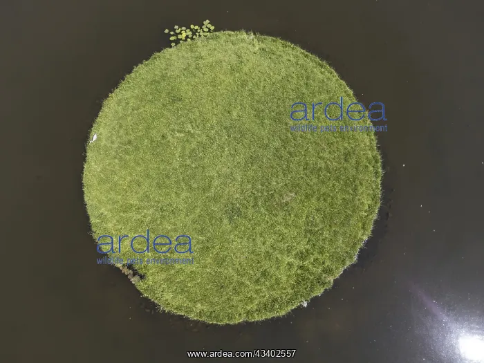  : Aerial panoramic view of an island, lake in the