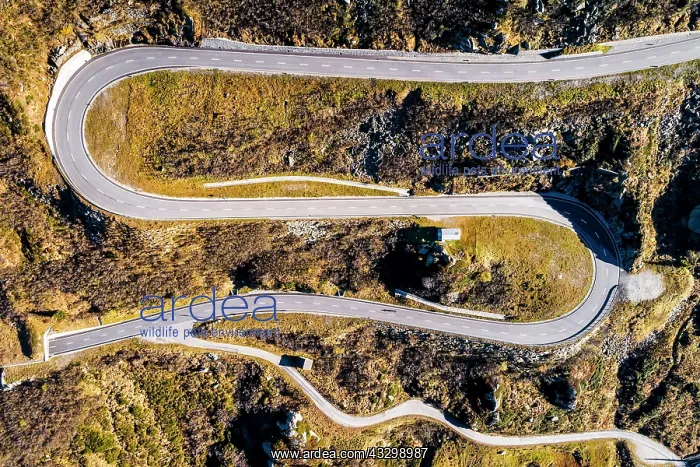 : Aerial photo Lukmanier Pass (Passo del Lucomagno) : Aerial photo Lukmanier Pass (Passo del Lucomagno)