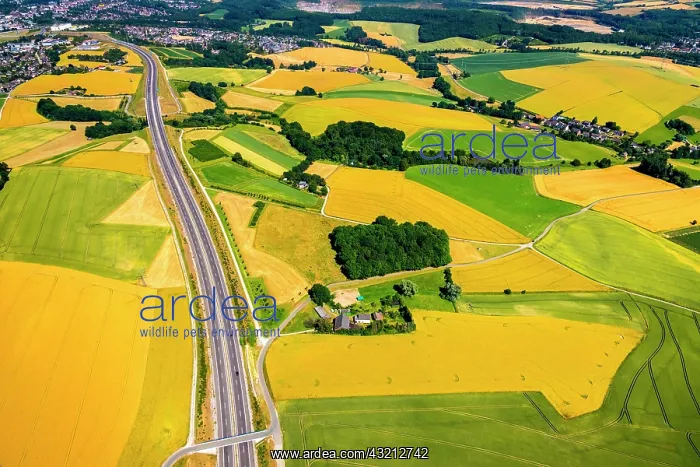 : Aerial photo, motorway A44, south of Heiligenhaus : Aerial photo, motorway A44, south of Heiligenhaus