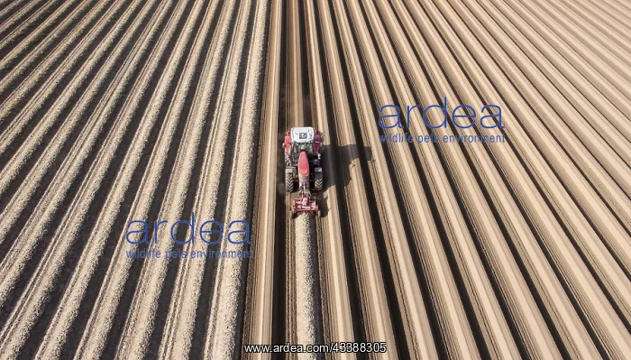 : An aerial photo shows a tractor in a large asparagus : An aerial photo shows a tractor in a large asparagus