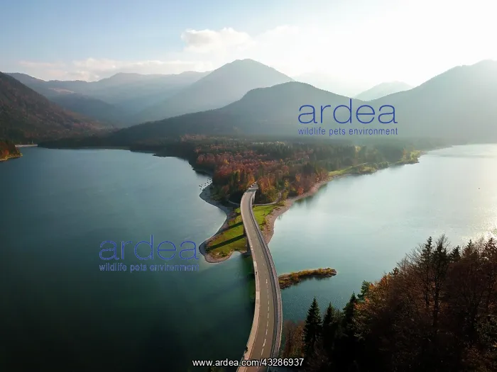 : Aerial photo, Sylvenstein lake and Faller Klamm : Aerial photo, Sylvenstein lake and Faller Klamm