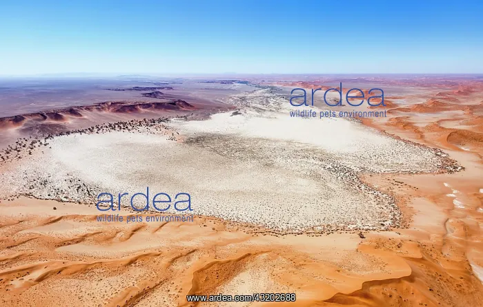 : Aerial photo, Tsondab pan, Tsondabvlei, surrounded : Aerial photo, Tsondab pan, Tsondabvlei, surrounded