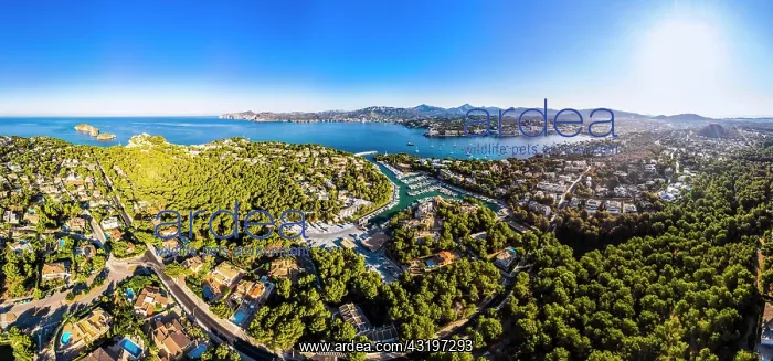 : Aerial photo, view of Santa Ponca and the marina : Aerial photo, view of Santa Ponca and the marina