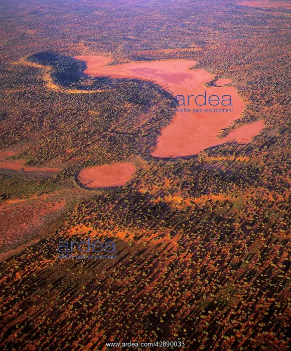 : Aerial - Playas / claypans and low dunes the most : Aerial - Playas / claypans and low dunes the most