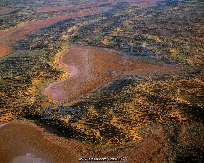 : Aerial - Playas / claypans and low dunes the most : Aerial - Playas / claypans and low dunes the most