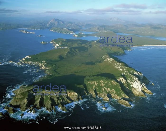 : Aerial - Port Davey, Hilliard Head, Stephens Bay : Aerial - Port Davey, Hilliard Head, Stephens Bay