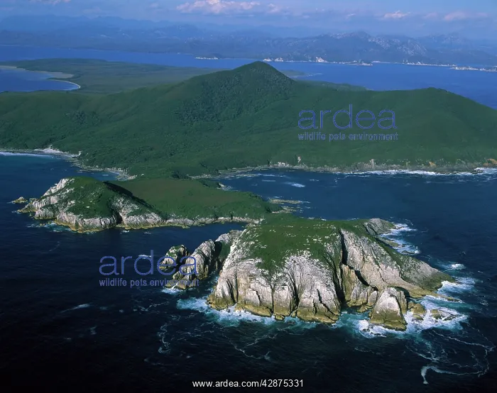 : Aerial - Port Davey (northern shores) North Head : Aerial - Port Davey (northern shores) North Head