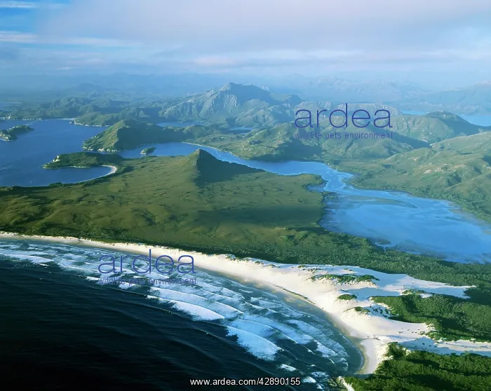 : Aerial - Port Davey (southern shores), Stephens : Aerial - Port Davey (southern shores), Stephens