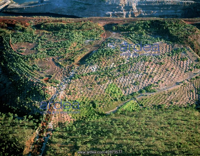 : Aerial - Resurfacing and replanting former open-cut : Aerial - Resurfacing and replanting former open-cut