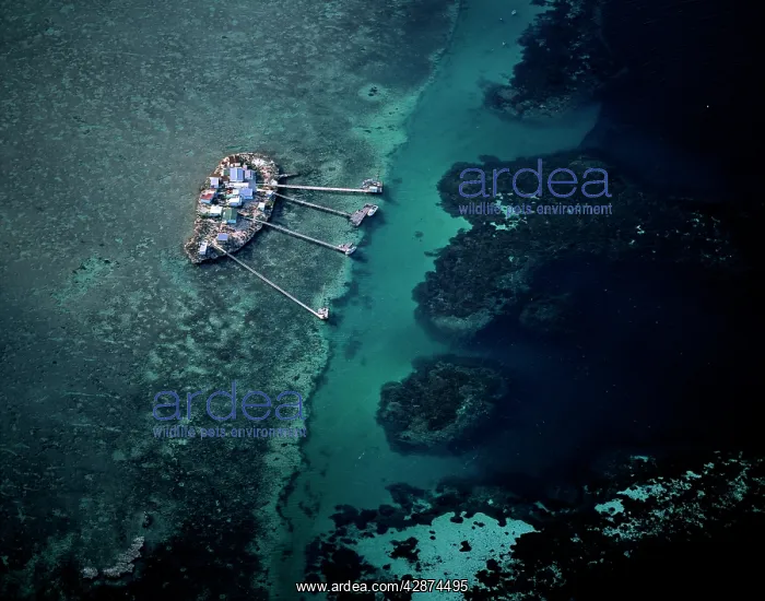 : Aerial - Roma Island, Easter Group, with lobster : Aerial - Roma Island, Easter Group, with lobster