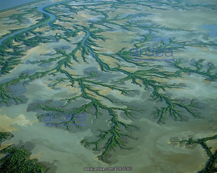 : Aerial - Roper River delta aerial with saline flats : Aerial - Roper River delta aerial with saline flats