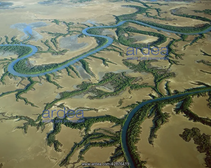 : Aerial - Roper River delta Gulf of Carpentaria : Aerial - Roper River delta Gulf of Carpentaria
