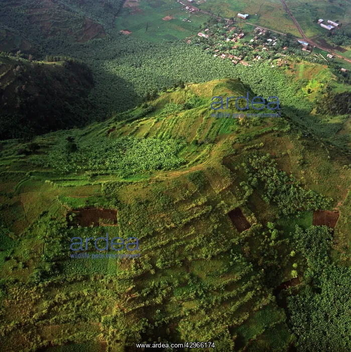 : Aerial - Rwanda - Africa - Virunga foothills : Aerial - Rwanda - Africa - Virunga foothills
