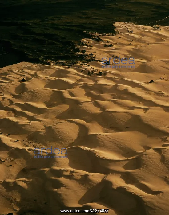 : Aerial: sand dunes Nambung National Park : Aerial: sand dunes Nambung National Park