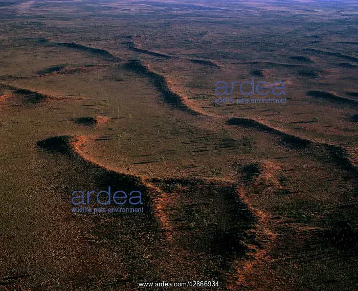 : Aerial - Sand dunes near Ayers Rock / Uluru Uluru-Kata : Aerial - Sand dunes near Ayers Rock / Uluru Uluru-Kata