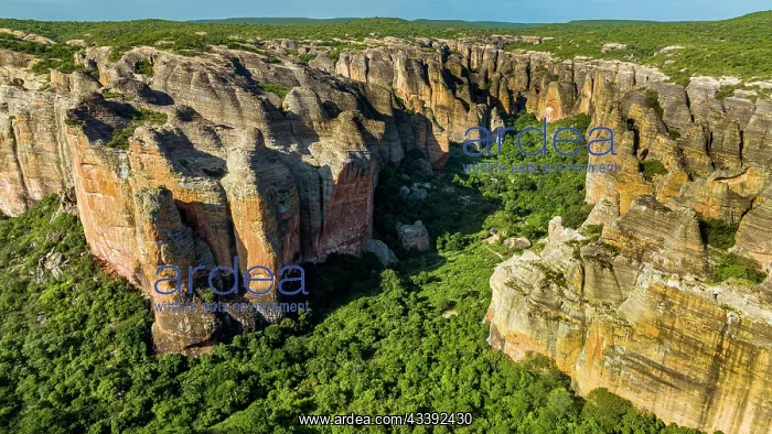 : Aerial of the Sandstone cliffs in the Unesco site : Aerial of the Sandstone cliffs in the Unesco site