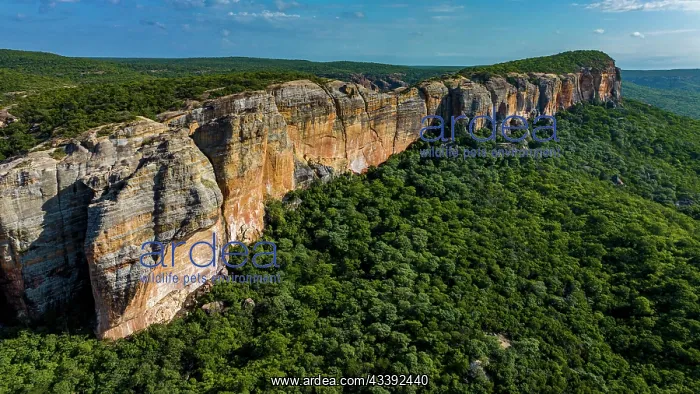 : Aerial of the Sandstone cliffs in the Unesco site : Aerial of the Sandstone cliffs in the Unesco site