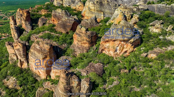 : Aerial of the Sandstone cliffs in the Unesco site : Aerial of the Sandstone cliffs in the Unesco site