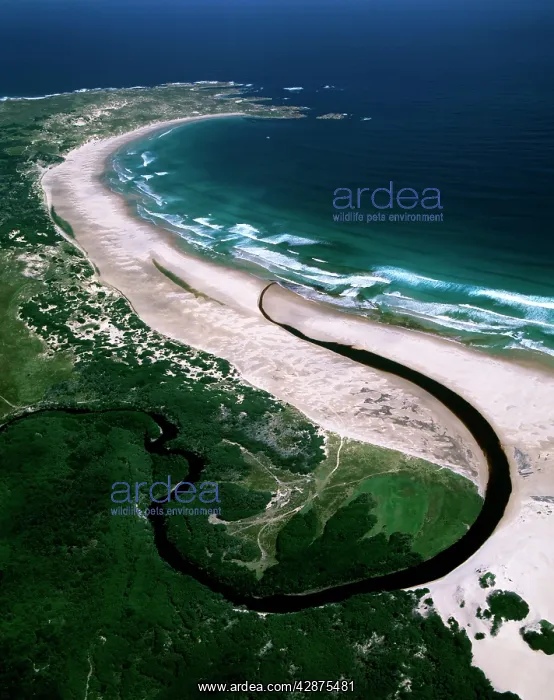 : Aerial - Sandy Cape - Arthur Pieman Protected Area : Aerial - Sandy Cape - Arthur Pieman Protected Area