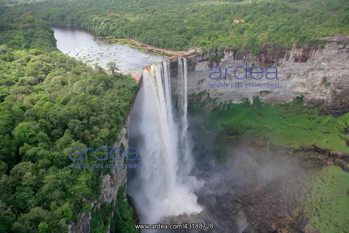 : Aerial shot, Kaieteur Waterfalls, Potaro National : Aerial shot, Kaieteur Waterfalls, Potaro National