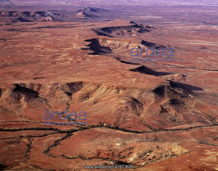 : Aerial - Simpson Desert near Dalhousie homestead : Aerial - Simpson Desert near Dalhousie homestead