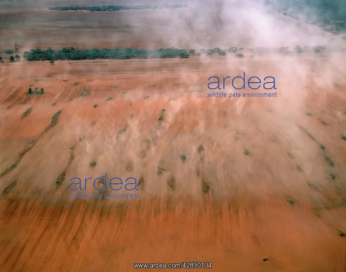 : Aerial - Top soil erosion: blown away by wind : Aerial - Top soil erosion: blown away by wind