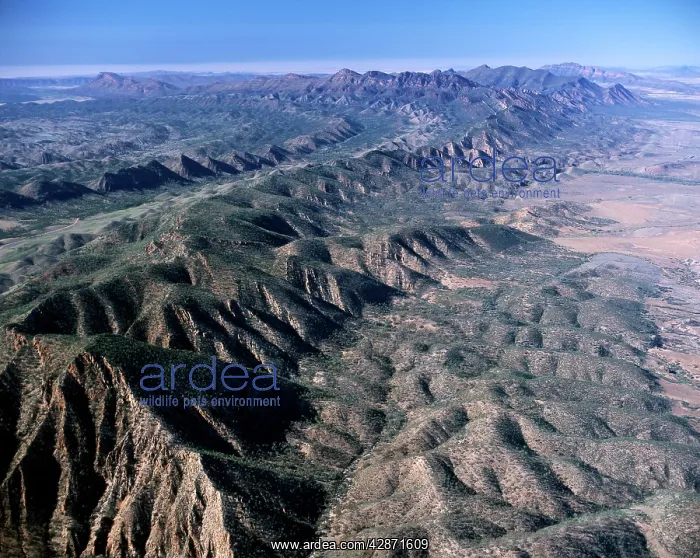  : Aerial: south of Brachina Gorge Flinders Ranges