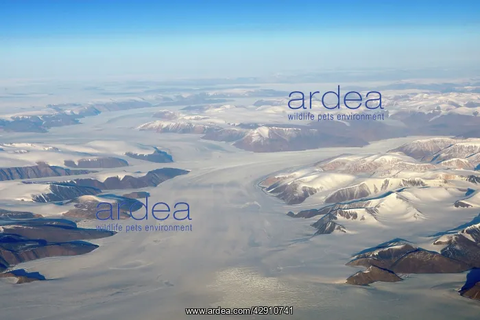  : Aerial - South East coast of Greenland