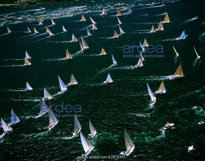 : Aerial - Sydney to Hobart Yacht Race : Aerial - Sydney to Hobart Yacht Race