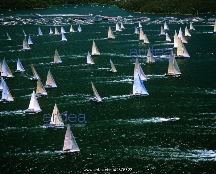 : Aerial - Sydney to Hobart Yacht Race : Aerial - Sydney to Hobart Yacht Race