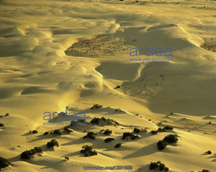 : Aerial: 'The PinnaclesI : Aerial: 'The PinnaclesI