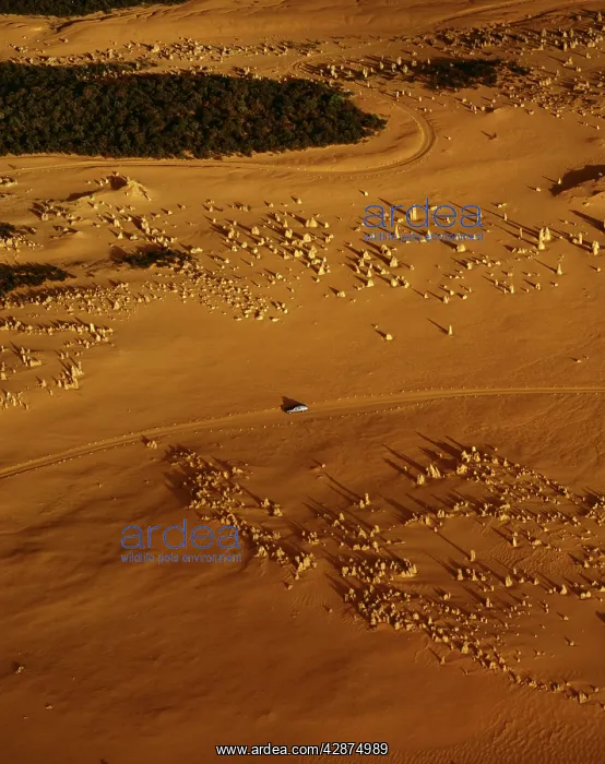 : Aerial: 'The PinnaclesI : Aerial: 'The PinnaclesI