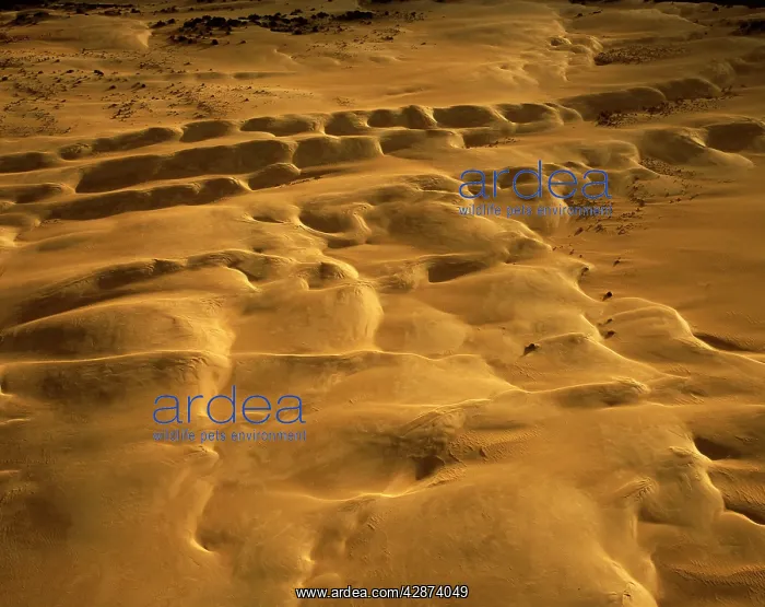  : Aerial: 'The PinnaclesI Desert Nambung National Par