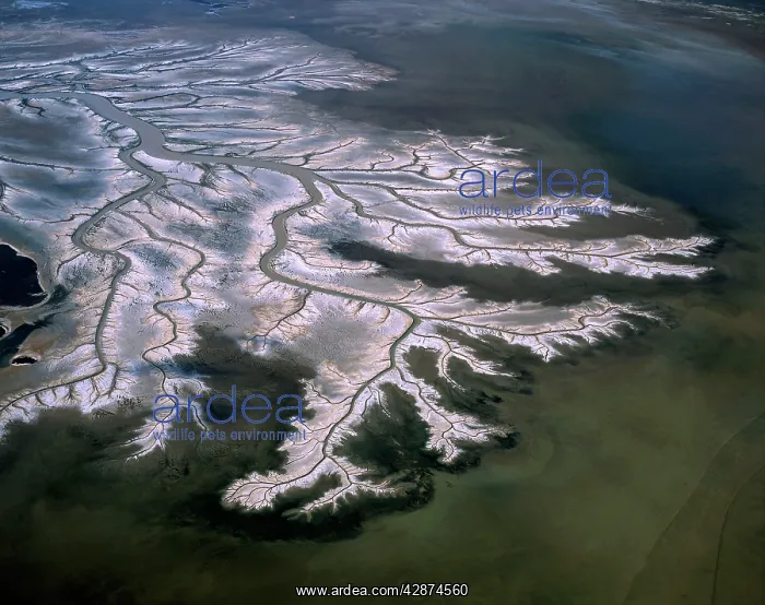 : Aerial - Tidal flats along King Sound area, near : Aerial - Tidal flats along King Sound area, near