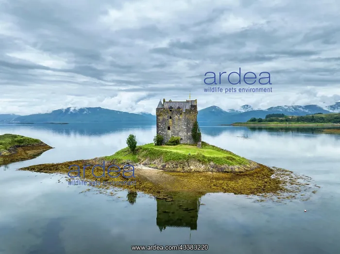 : Aerial view of the 14th century island castle Ca : Aerial view of the 14th century island castle Ca