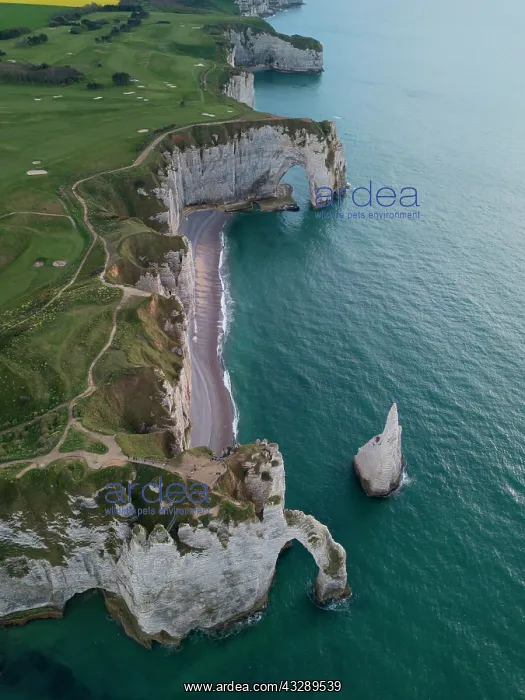 : Aerial view, Aiguille dEtretat, cliffs, chalk cliffs : Aerial view, Aiguille dEtretat, cliffs, chalk cliffs