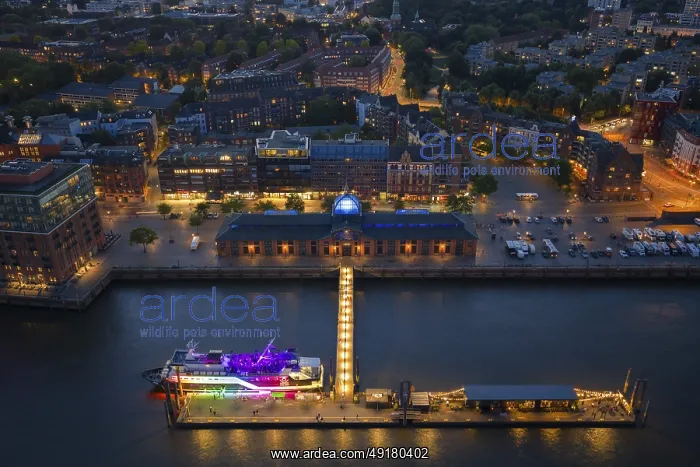 : Aerial view of the Altona fish market in the harbour at blue hour : Aerial view of the Altona fish market in the harbour at blue hour