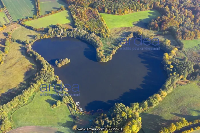 : Aerial view over the Ankersche See, heart-shaped : Aerial view over the Ankersche See, heart-shaped
