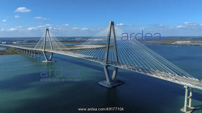 : Aerial View of the Arthur Ravenel Jr : Aerial View of the Arthur Ravenel Jr
