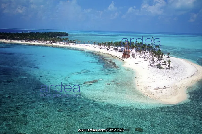 : Aerial view of Barrier Reef, Belize, Central : Aerial view of Barrier Reef, Belize, Central